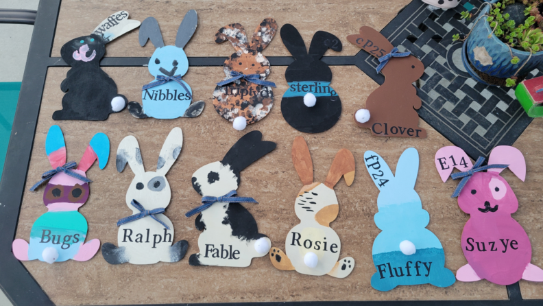 Youth preparing for the fair