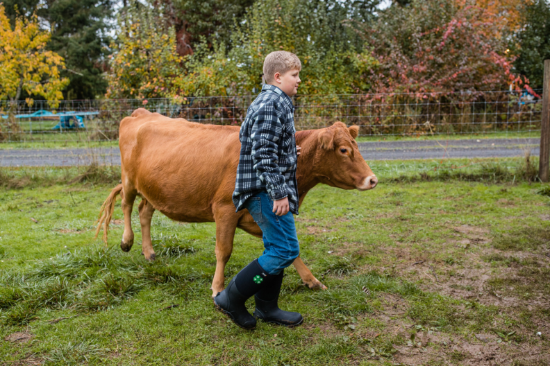 Picture of a 4-H youth member and his cow