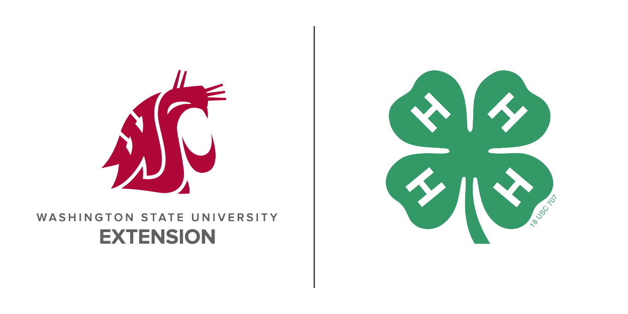 WSU 4-H logo combining the WSU cougar head and the 4-H clover