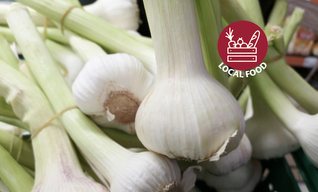 Close up of garlic plants