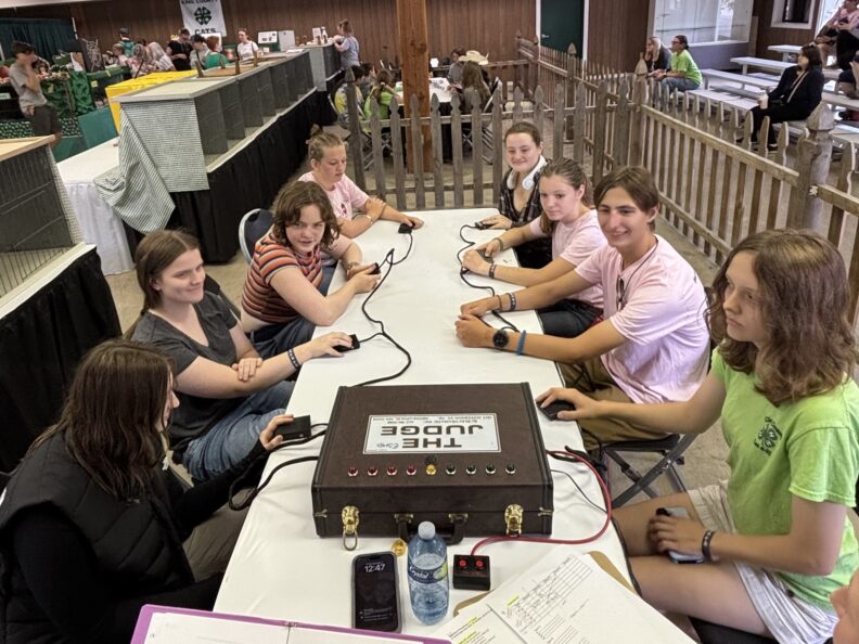 WA State Fair - Youth in the Cat Project