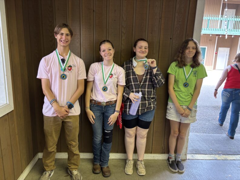 WA State Fair - Youth in the Cat Project