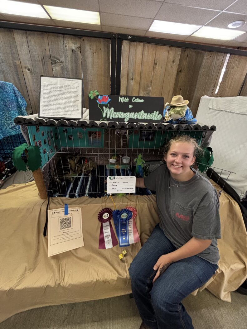 WA State Fair - Youth in the Cat Project