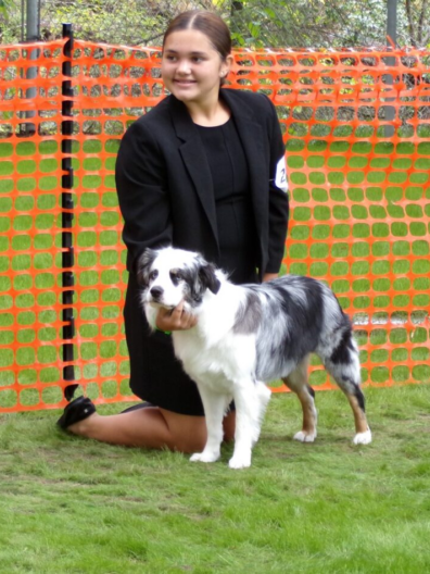 PC Fair - youth with a dog