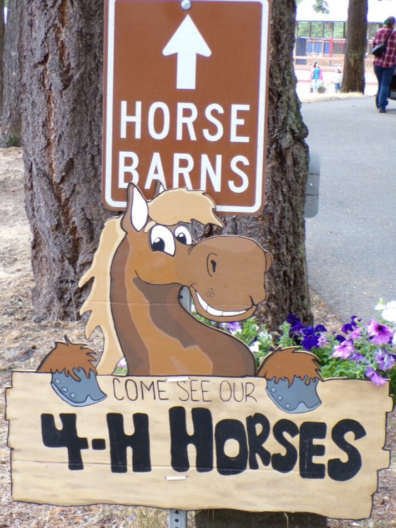 PC Fair - sign to 4-H Horses