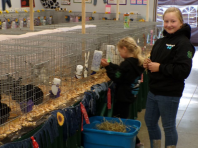PC Fair - youth with their small animals