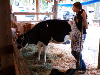 PC Fair - youth with her cow