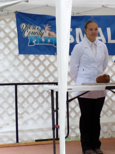 PC Fair -youth with a cavie