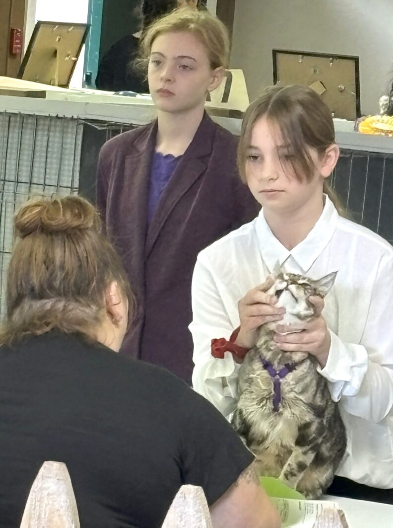 WA State Fair - Youth in the Cat Project