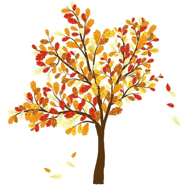 Tree with fall colored leaves

