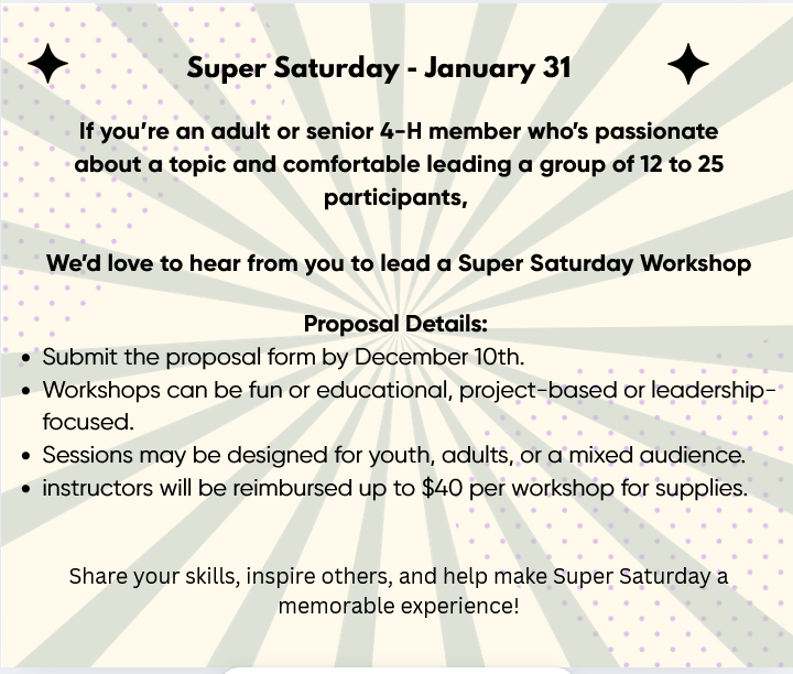 Flyer talking about Super Saturday and if you would like to present a workshop there.