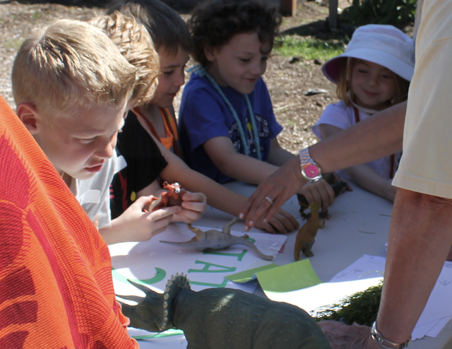 Youth looking at dinosaurs