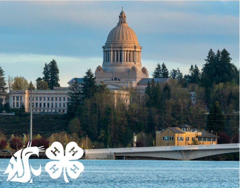 WA State Capitol Buildings with the WSU and 4-H Logos at the bottom
