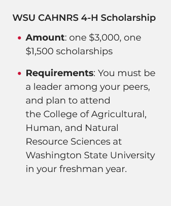 WSU CAHNRS 4-H Scholarship Info