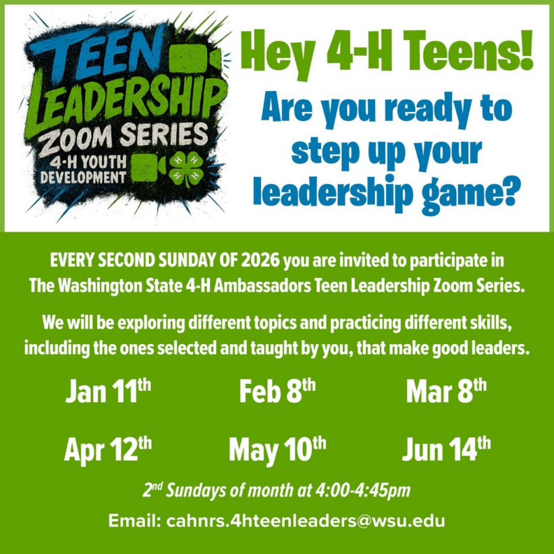 Teen Leadership Zoom Series - list info about the program