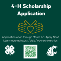 Logo with 4-H Scholarship Application