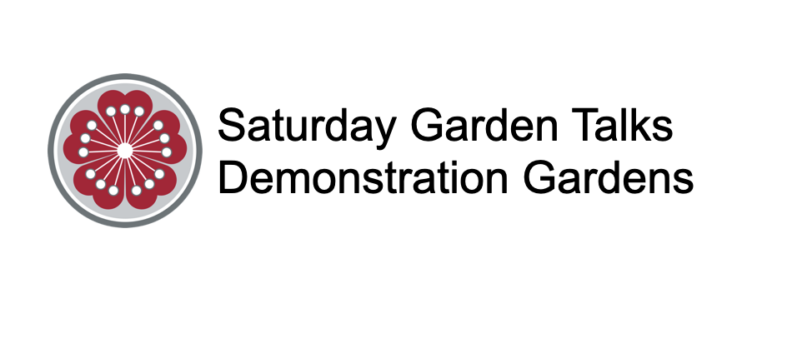 Image for Saturday Garden talks