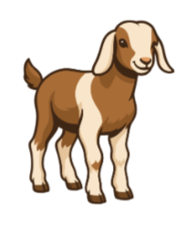 Little Goat 