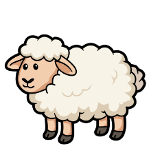 Sheep
