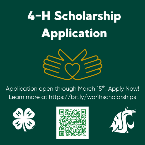 4-H Scholarship Application info with QR Code