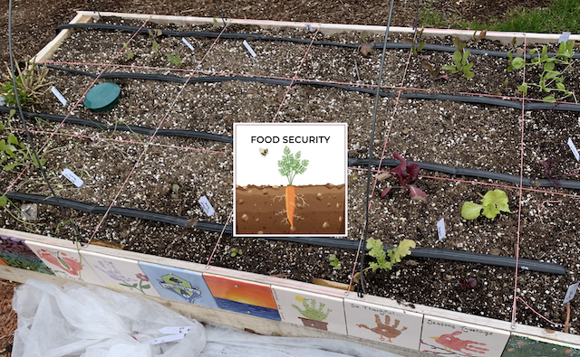 Square Foot Gardening raised bed