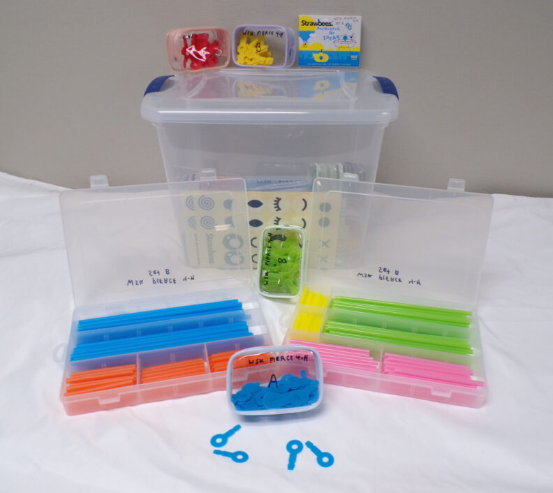 Photo of Strawbees Imagination Kit contents including pouches and totes for various pieces.