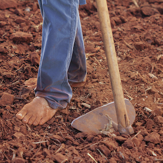 Bare feet on soil with hoe