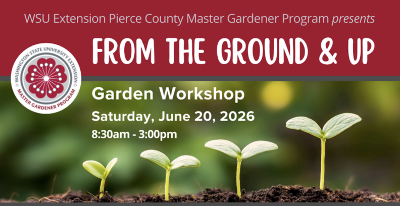From the Ground & Up banner