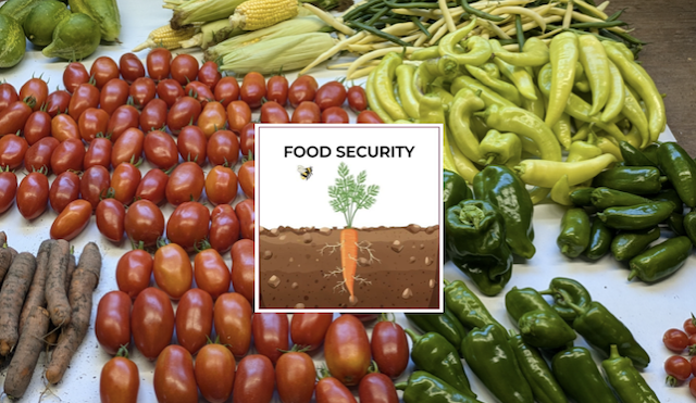 Produce on a table with a Food Security spirit mark overlaid