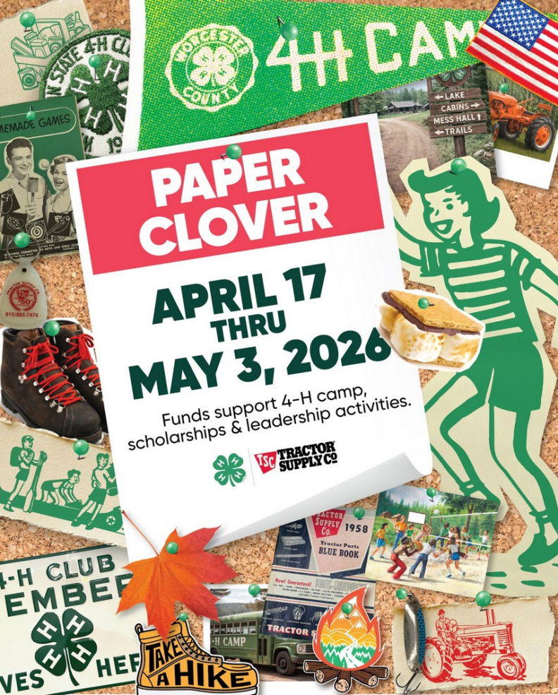 Image from Tractor Supply Paper Clover Fundraiser for 4-H that is happening in their stores from April 17 -  May 3