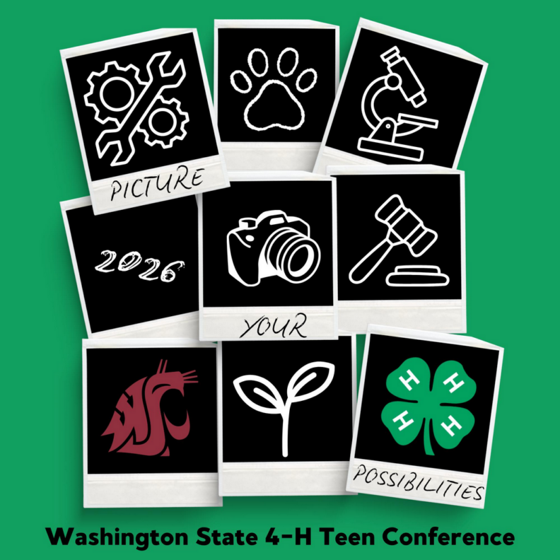 Image for WA State 4-H Teen Conference - Picture your Possibilities.  Polaroid Pics with various 4-H projects and the WSU & 4-H logos shown.