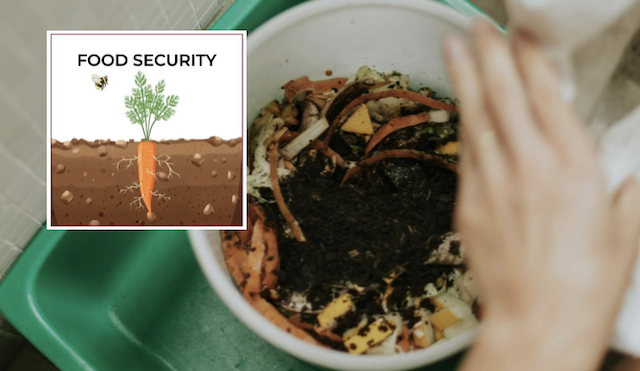 Kitchen scraps for composting