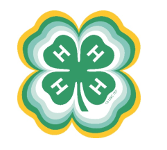4-h logo with sunburst