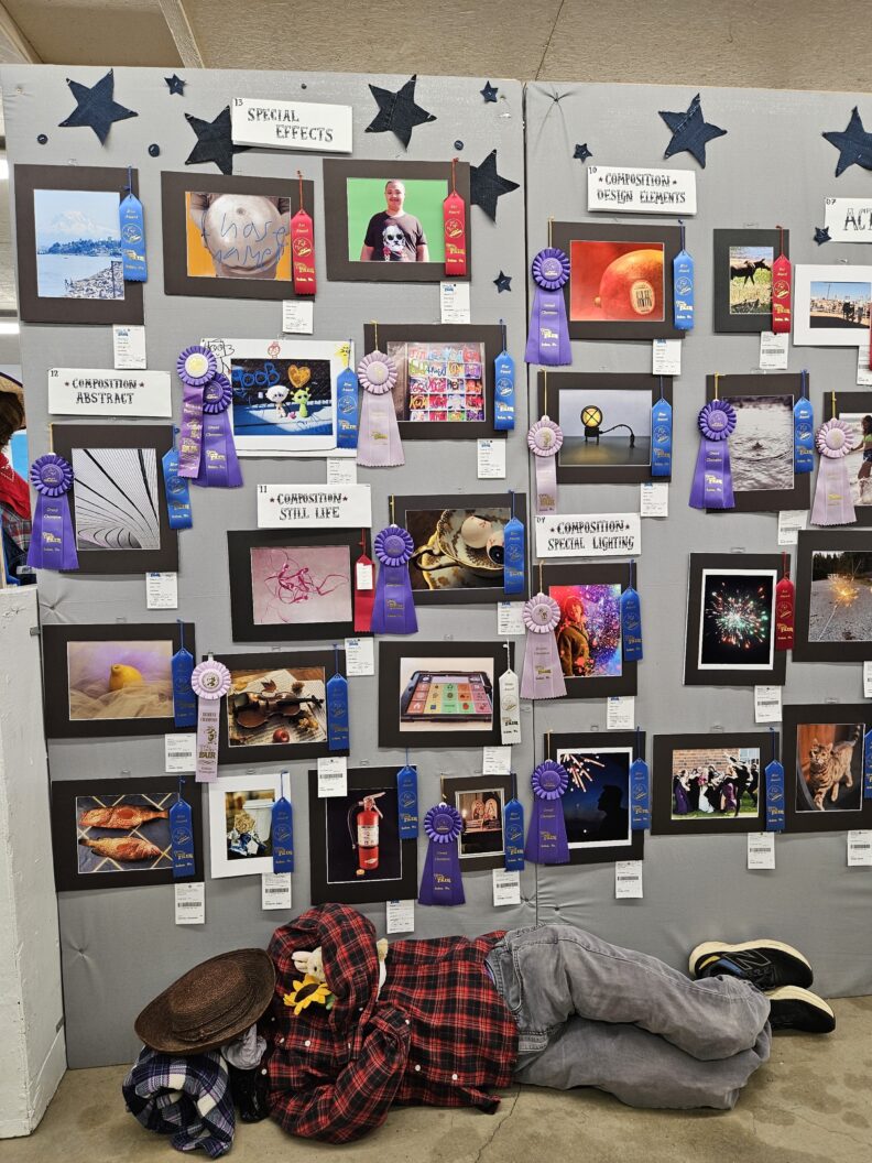 Pictures of photos hanging on the wall that were submitted to the Pierce County Fair.