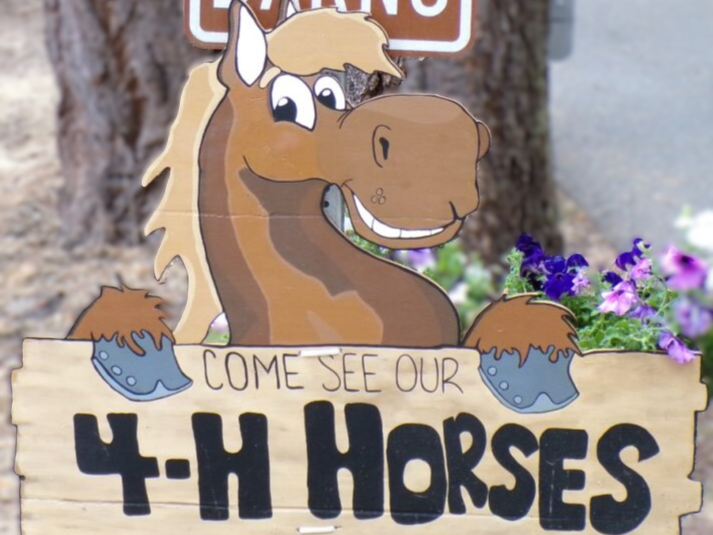 Come see our 4-H Horses Sign