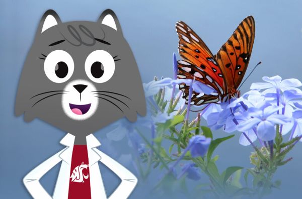 Dr. Wendy Sue Universe with butterfly