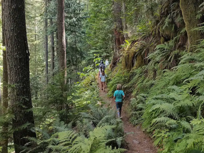Image from Amocat camping trip.