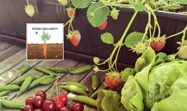 Edible Patio Speakers Bureau talk