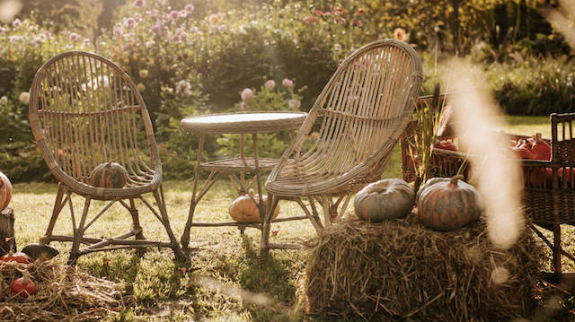 Wicker chairs and pumpkins in fall garden