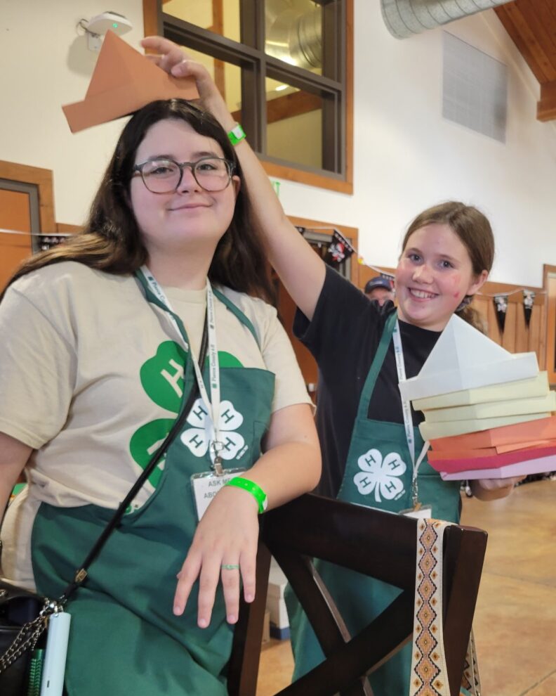 4-H Youth at the Pierce County Fair