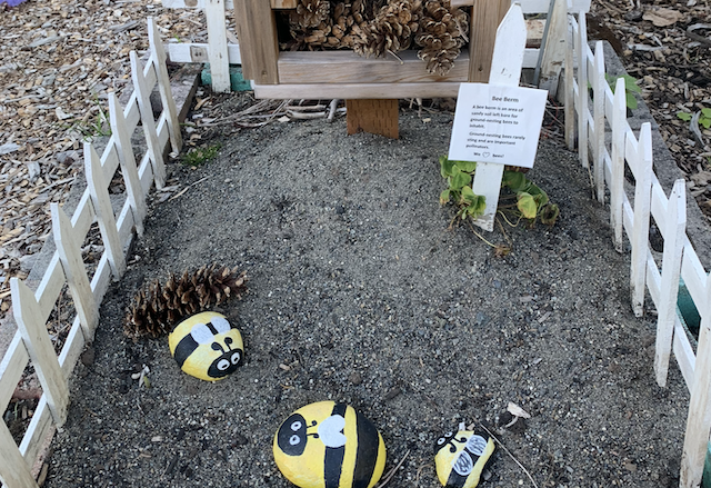 A bee berm