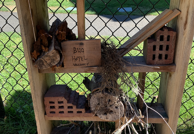 Bug Hotel