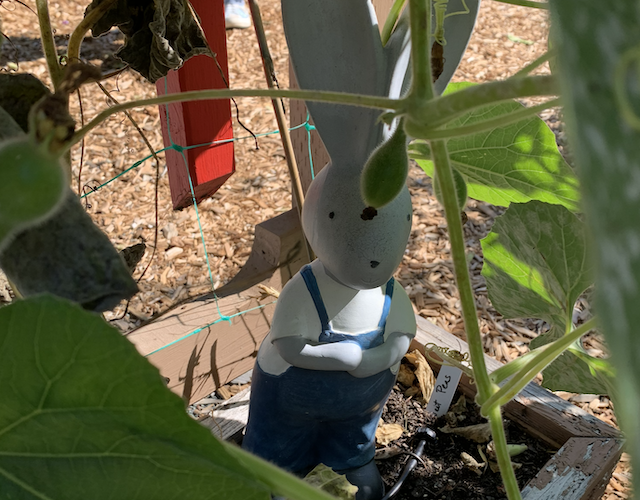 Ceramic rabbit hiding in garden bed