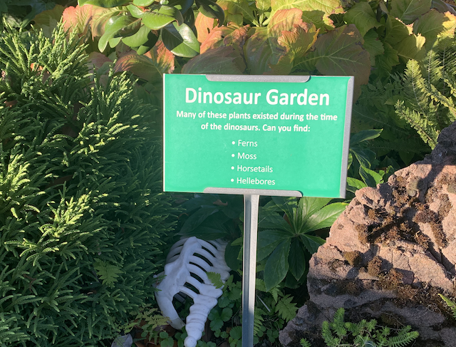 The Dinosaur Garden