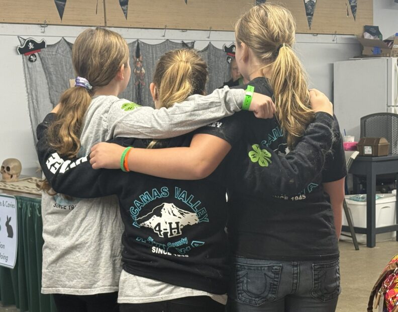 4-H Youth at the Pierce County Fair