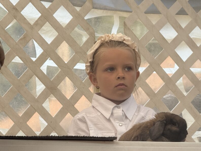 4-H Youth at the Pierce County Fair
