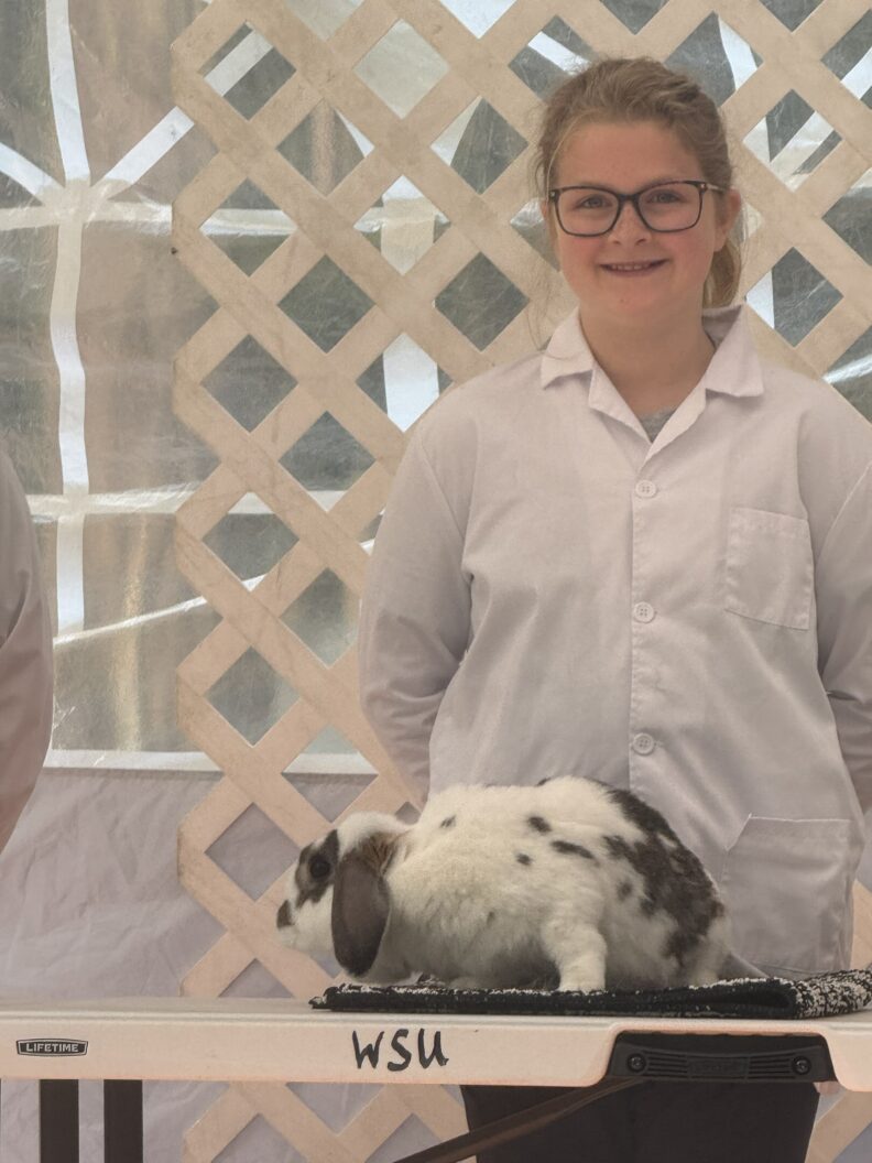 4-H Youth at the Pierce County Fair