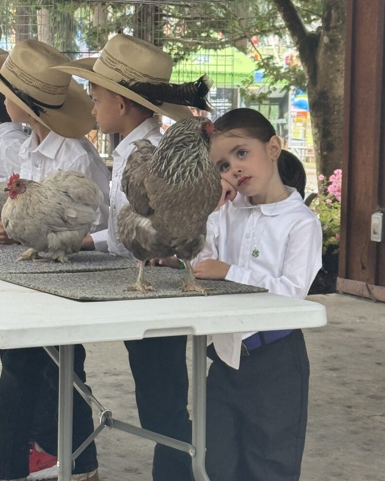 4-H Youth at the Pierce County Fair