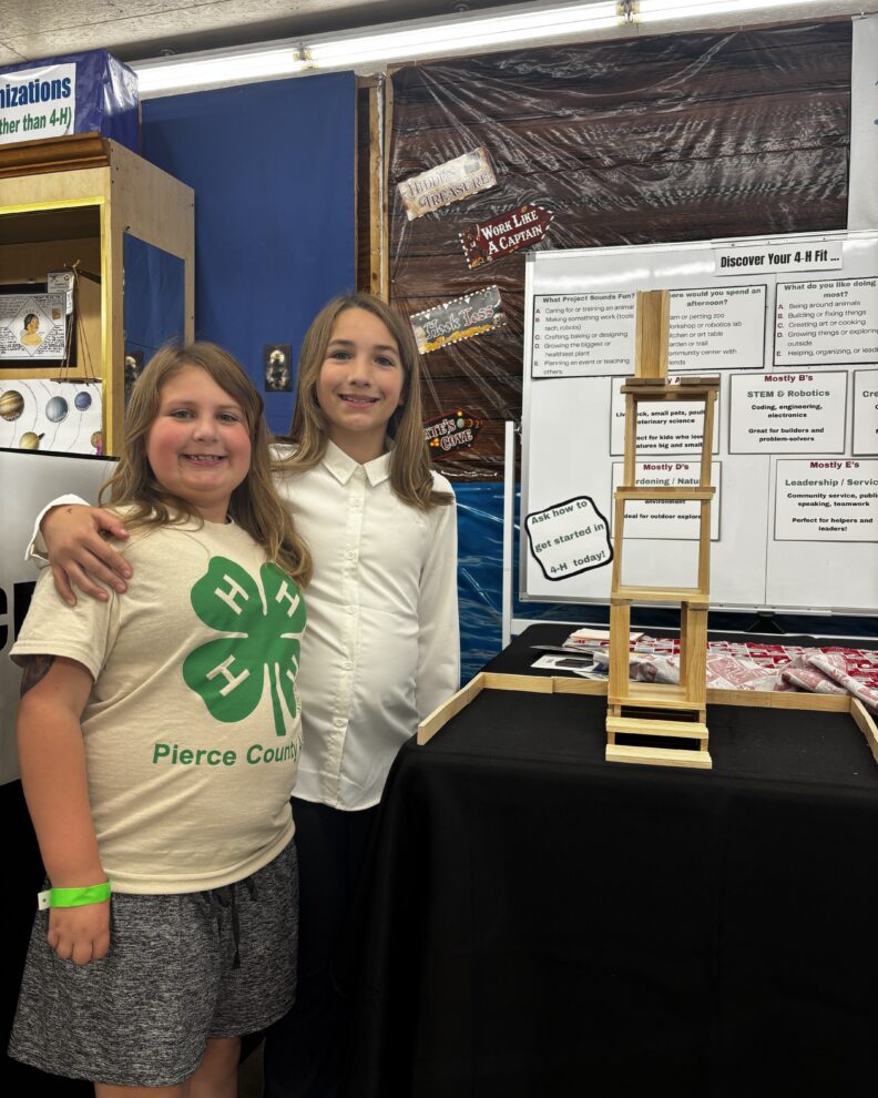 4-H Youth at the Pierce County Fair
