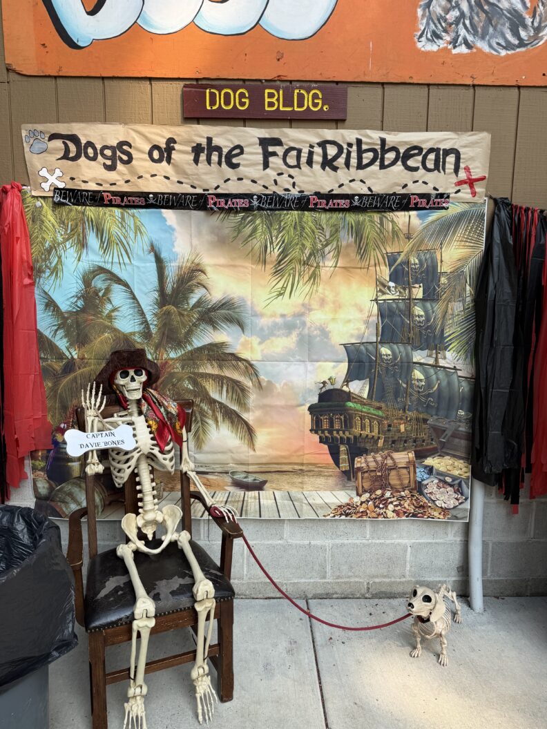 theme decorations at the Pierce County Fair